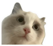 842949119