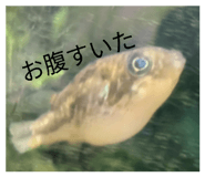 842949942