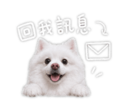 842950479