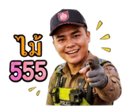 842951306