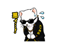 842951862