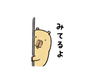 842953147