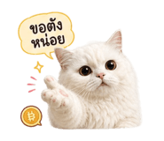 842953435