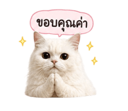 842953440