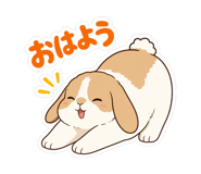 842953521