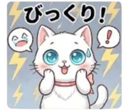 842953552
