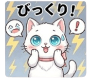 842953552
