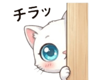 842953556