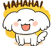 842953938