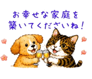 842954294