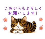 842954296