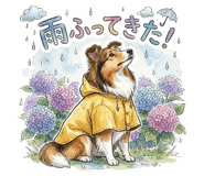 842955338