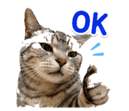 842955405