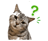 842955408