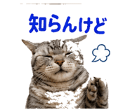 842955415