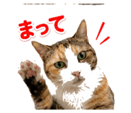 842955420
