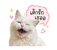 842955772