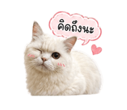 842956058