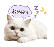 842956059