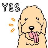 842956613