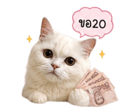 842956665