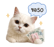 842956666