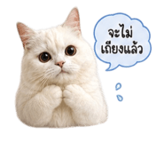 842956678