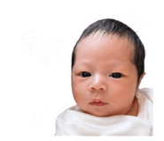 842956817