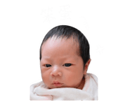 842956828