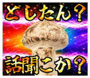 842957484