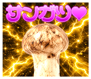 842957488