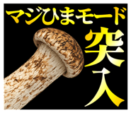 842957502