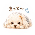 842958898
