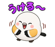 842959207