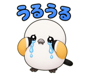 842959215