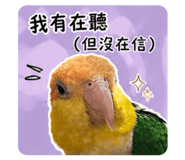 842959418