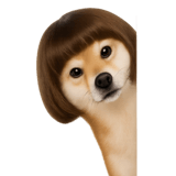 842959509