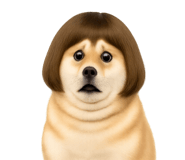 842959520