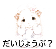 842959724