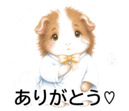 842959725