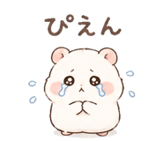 842959887