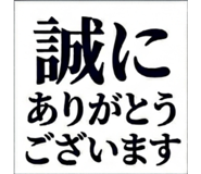 842960533