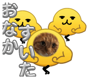 842960647