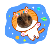 842960648