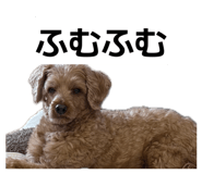 842960991