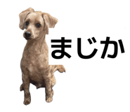 842960999