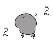 842961209