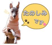842961476