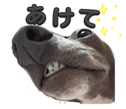 842961477