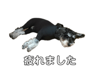 842961497